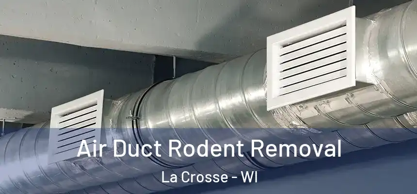  Air Duct Rodent Removal La Crosse - WI