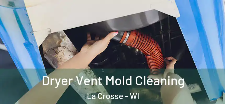  Dryer Vent Mold Cleaning La Crosse - WI