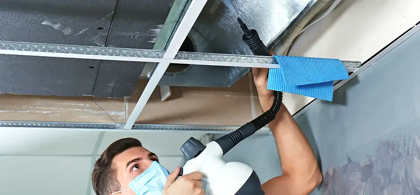 Our Air Duct Rodent Removal Services in La Crosse, WI