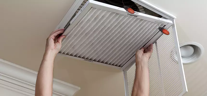Our Insect Removal from Air Ducts Services in La Crosse, WI