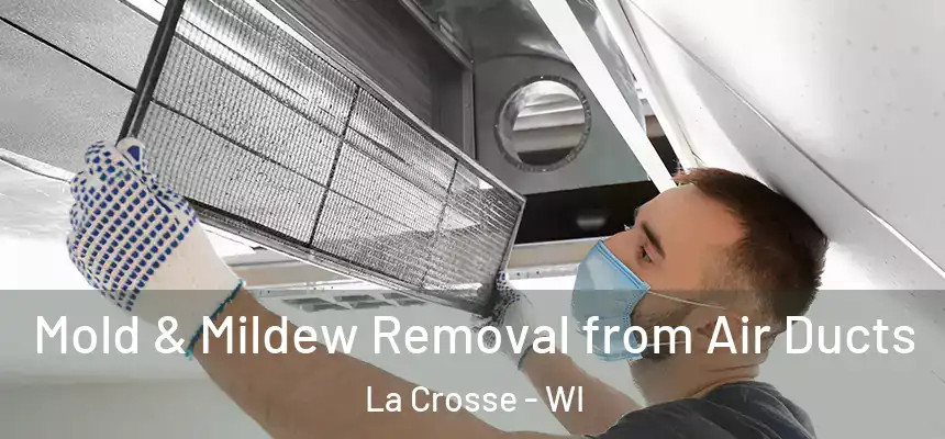  Mold & Mildew Removal from Air Ducts La Crosse - WI