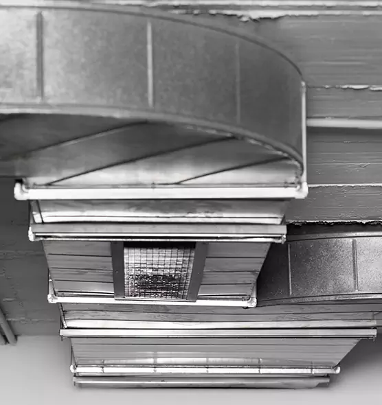 Professional Air Duct Pet Hair Removal in La Crosse, WI