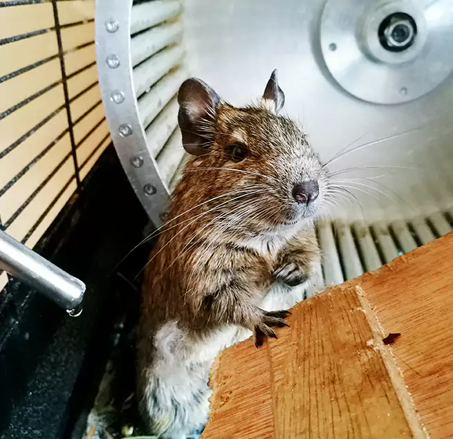 Why Homeowners & Businesses Trust Us La Crosse, WI?